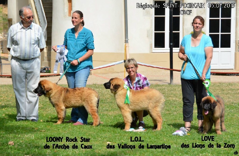 Loony rock star de l'arche de caux