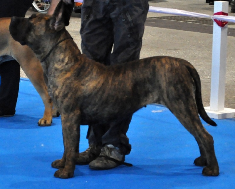 Fophie favier des contes de Lola