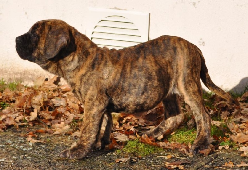 Fophie favier des contes de Lola