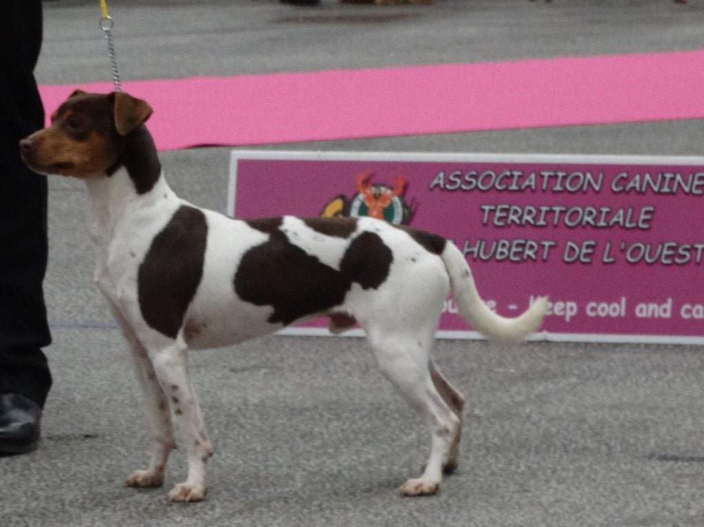 CH. Leko bahia du domaine des Mandets