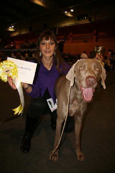 CH. Champion des Guerriers D'Argent