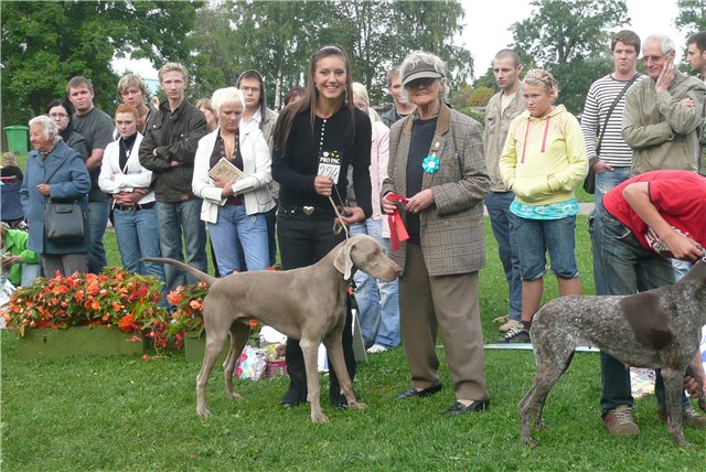 CH. Champion des Guerriers D'Argent