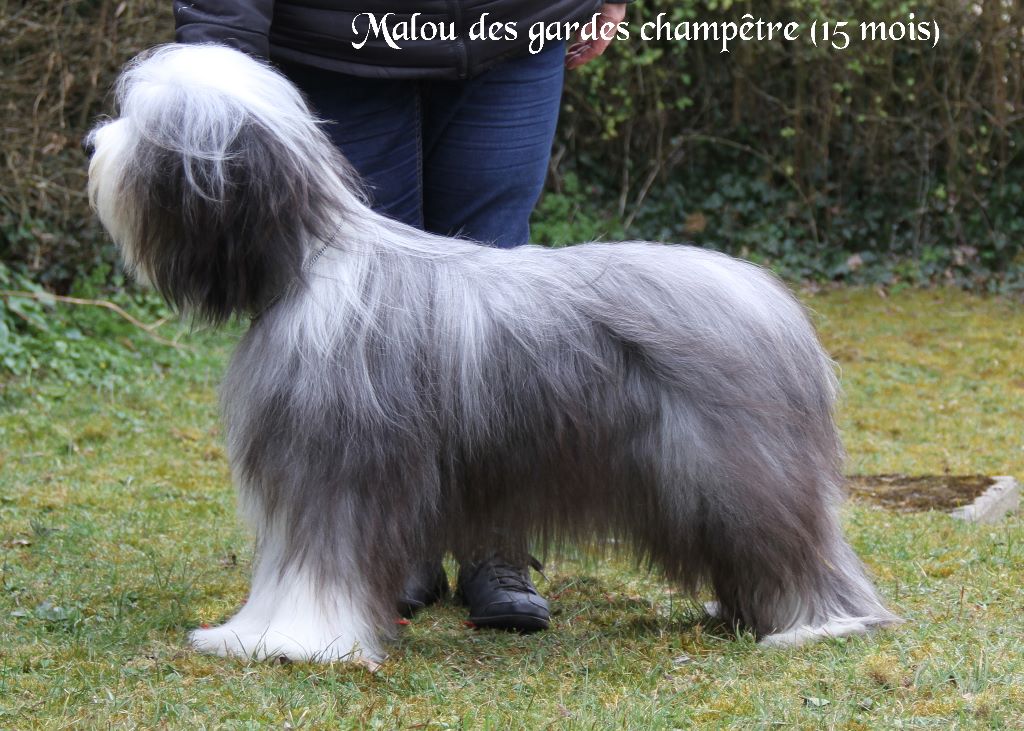 Malou Des gardes champetres