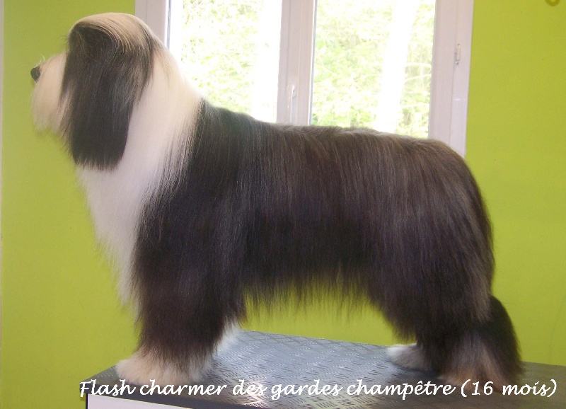 Flash-charmer Des gardes champetres