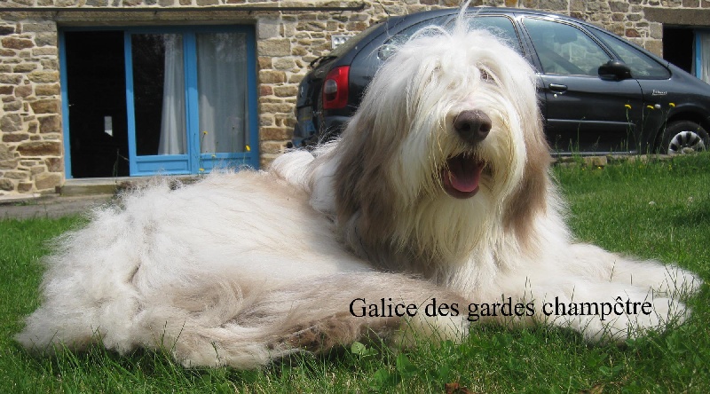 Galice Des gardes champetres