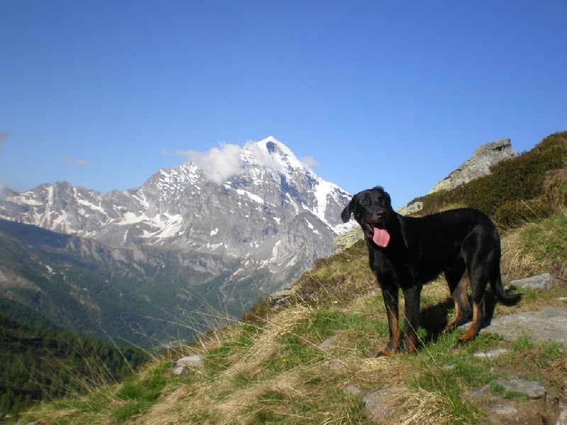 Corie des Gaillards des Terres Froides