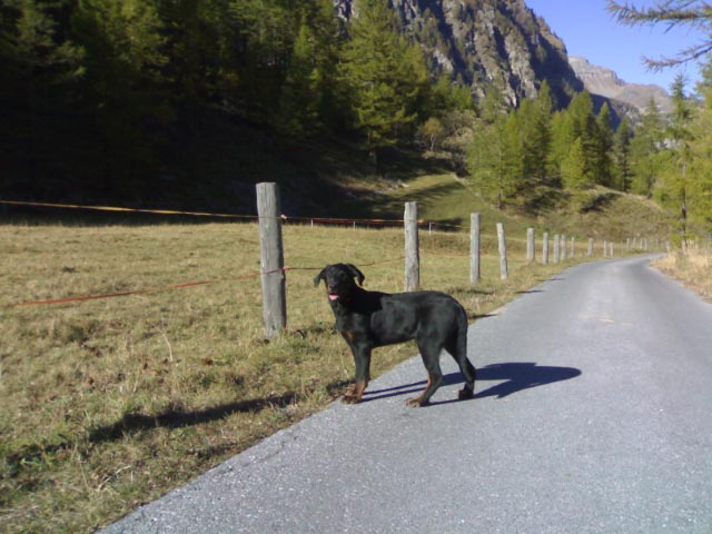 Corie des Gaillards des Terres Froides