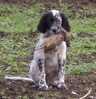 Baron du Milobre de Bouisse