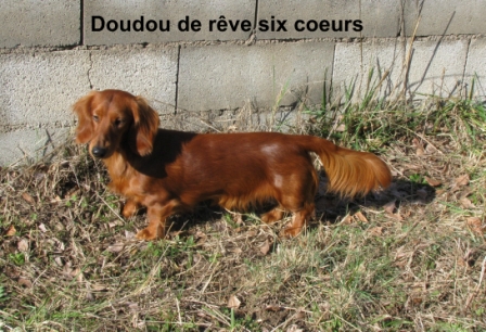 Doudou du reve six coeurs