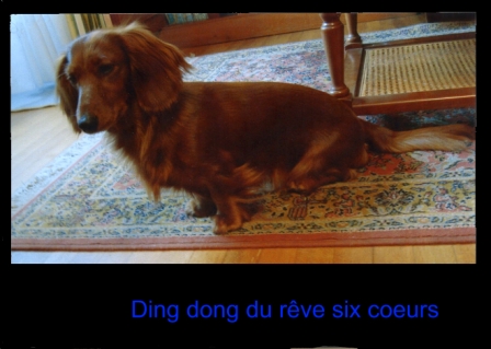 Ding dong du reve six coeurs