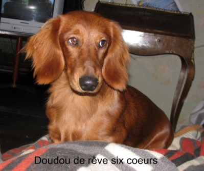 Doudou du reve six coeurs