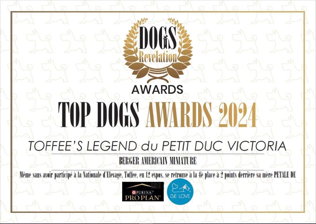 Toffee's legend du petit Duc Victoria