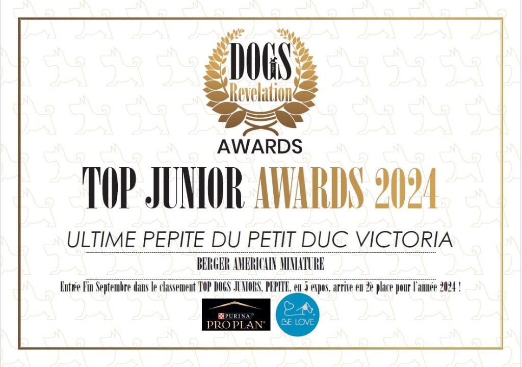 Ultime pepite du petit Duc Victoria