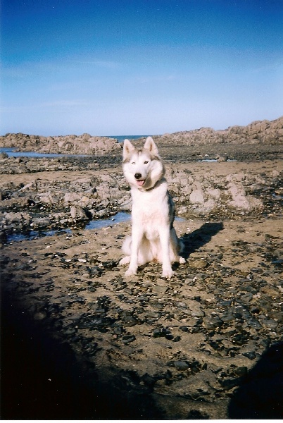 Priska de L'Igloo des Sables