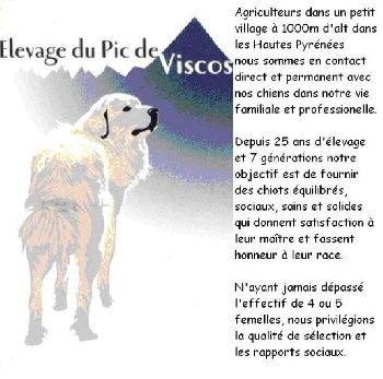 Accueil Elevage Rocher De La Vierge Eleveur De Chiens