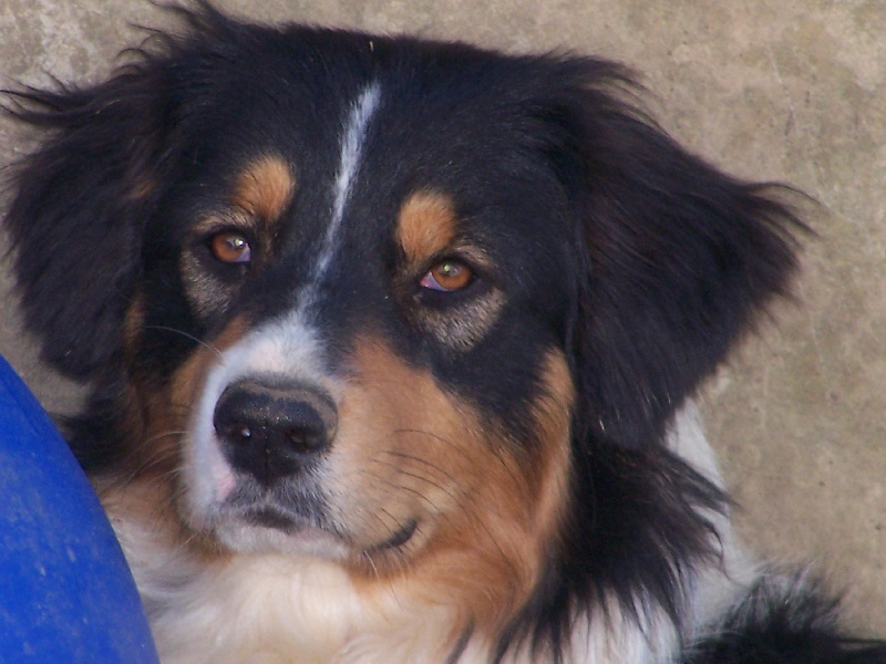 Belle la coquine de la Vallée de l'Hyrome