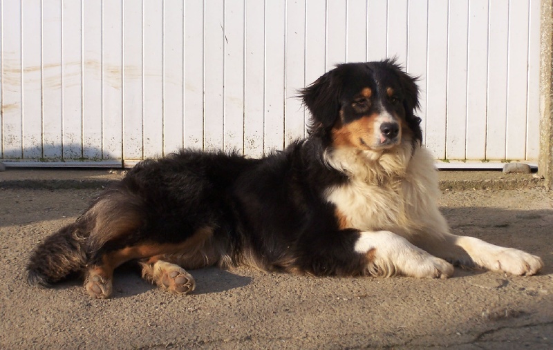 Belle la coquine de la Vallée de l'Hyrome