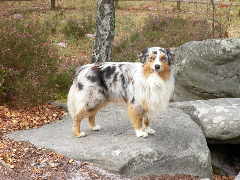 Chiro de la Vallée de l'Hyrome