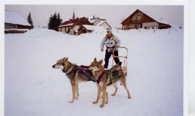 Accueil Elevage De La Compagnie Du Loup Gris Eleveur De