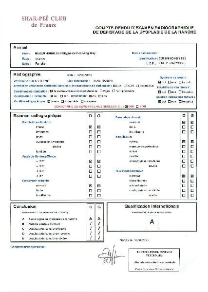 Hagen honolulu skyjacker des Ming Way