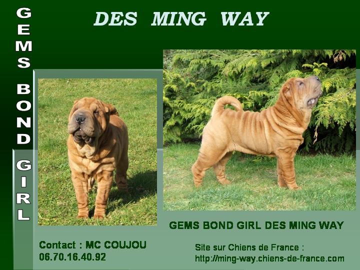 Gems bond girl des Ming Way