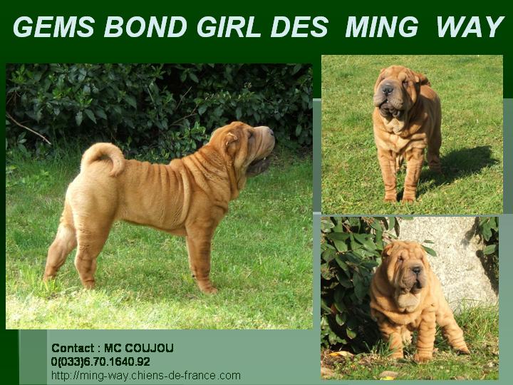 Gems bond girl des Ming Way