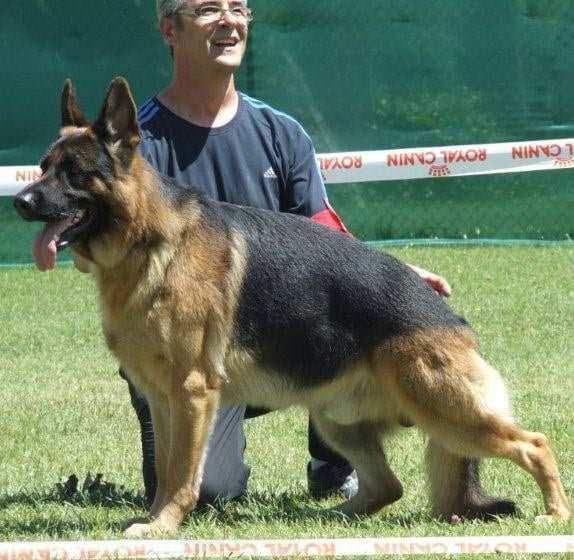 Elfy De l'hacienda del matador