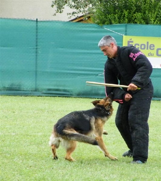 Elfy De l'hacienda del matador