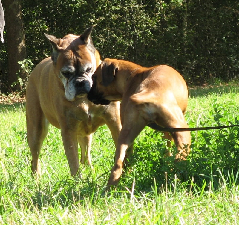 Hetty des Sources du Fond de Laye