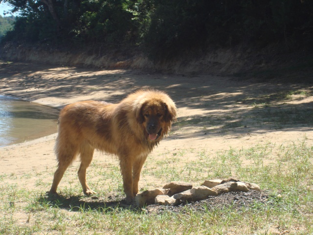 Dtsampo de la Tsaparang Valley