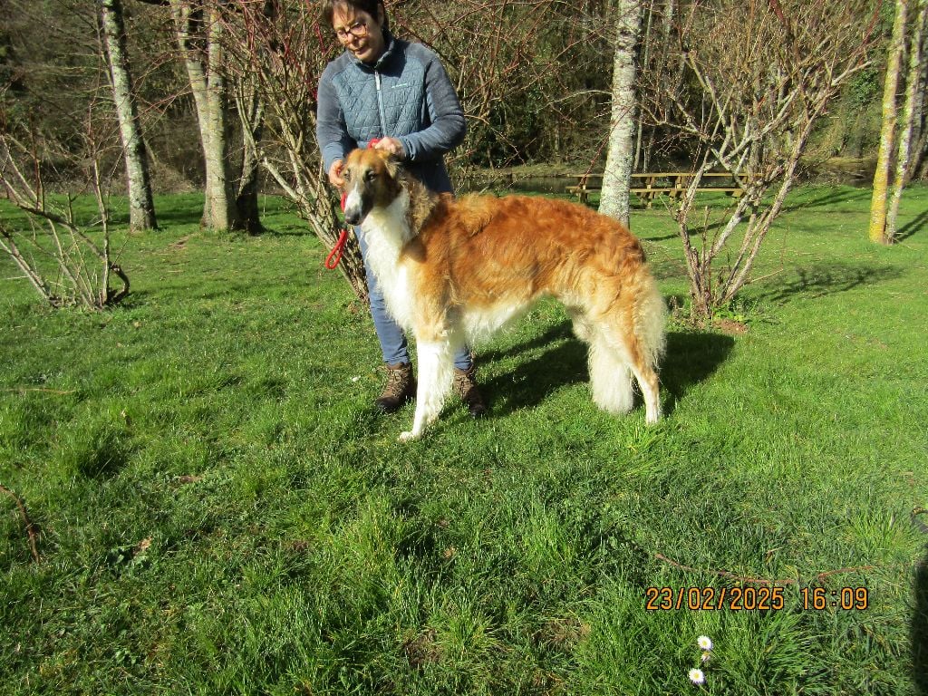 Usko legends and  the fall du Domaine d'Iasnaïa-Poliana