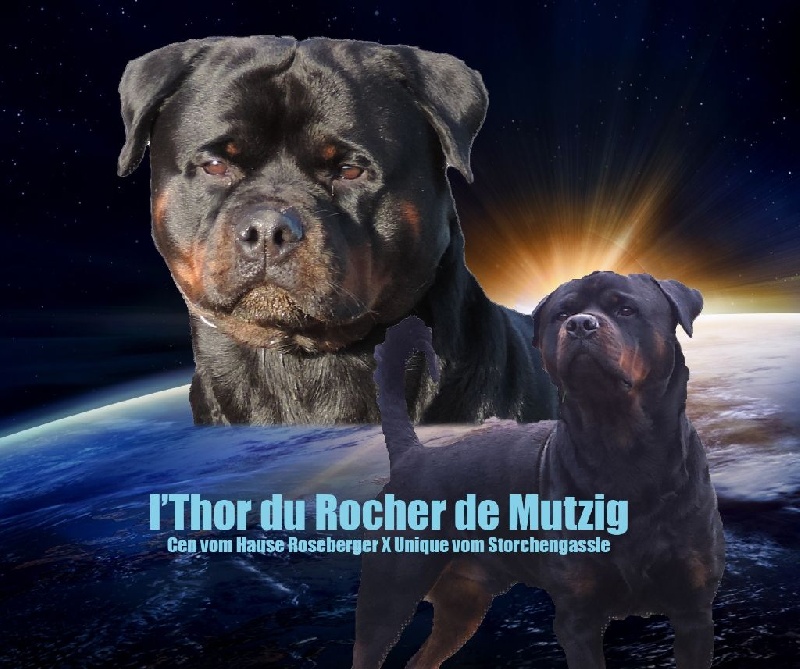 I'thor du rocher de Mutzig