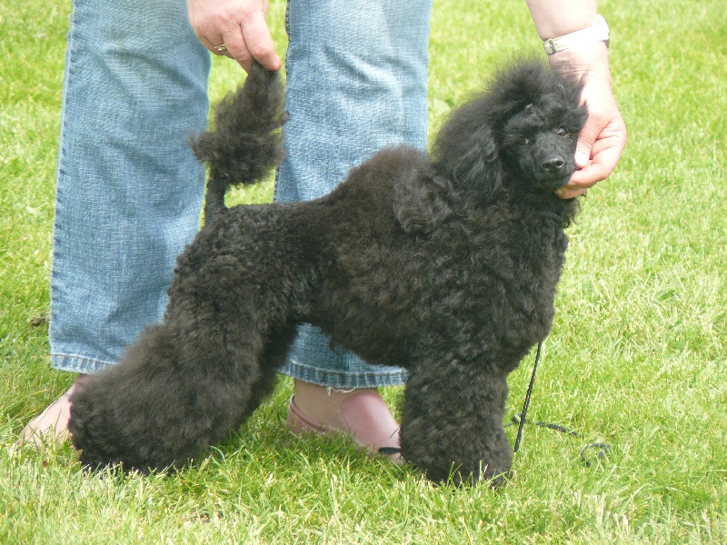 Carina bella Des hauteurs de la sole