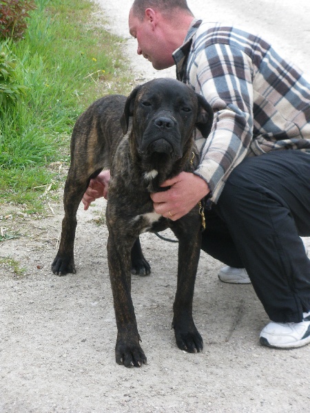 Garou du domaine de Tarmac