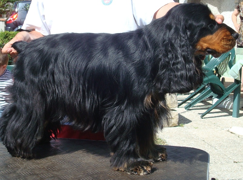 Chunky charlie de la Loire aux Roses Mayas