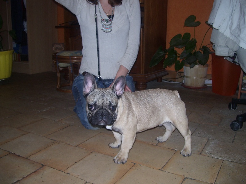 CH. Cleyton du Terroir de fontfroide