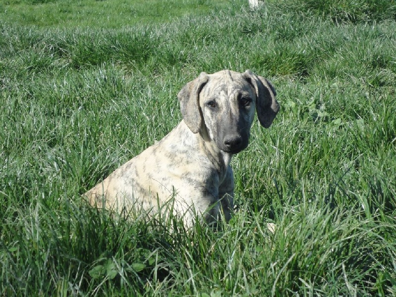 Hadjara el djemilla de la Bérondière