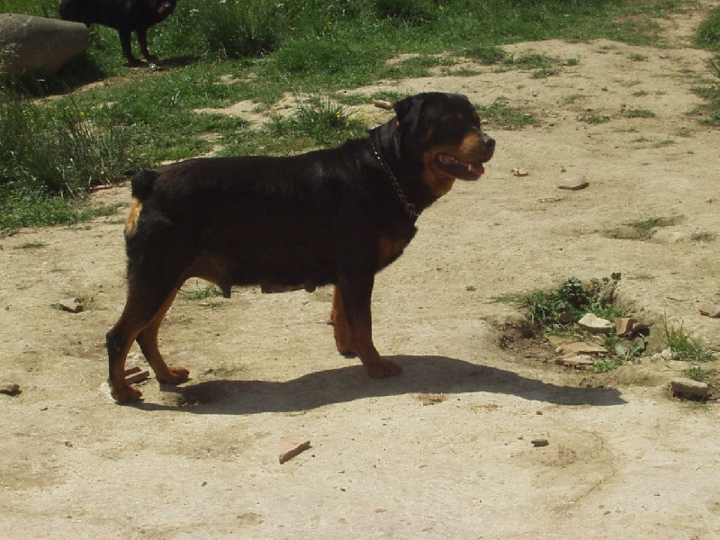 Mady du lac de varezieux