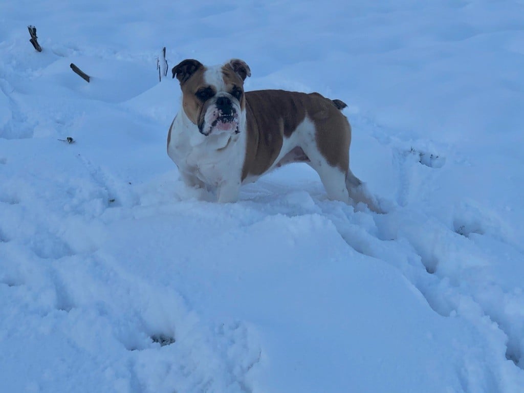 Penelope Des tempêtes du pays breton