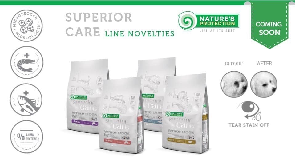 Superior care white dogs