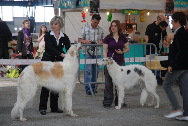 CH. Tpo - lsp - c'smirnoff des Crocs de la Moliere