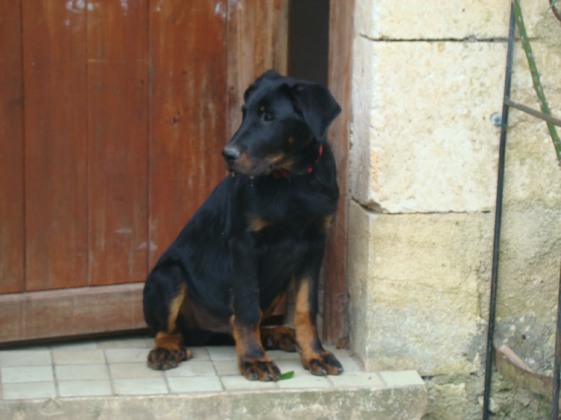 Doker du royaume Dugozana