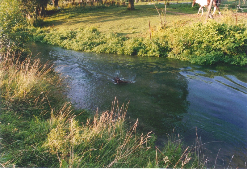 Phebus des Plaines du Cambresis