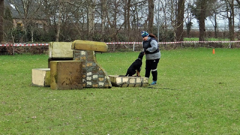 Lypton dit trigger des Marais de Saint-Gratien