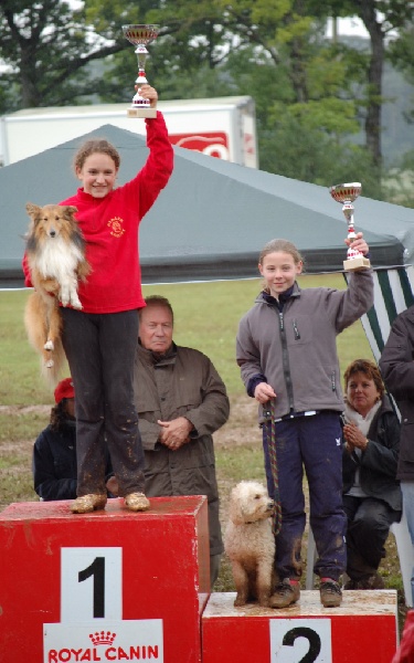 CH. Sharly brown du grand champs d'aubertans