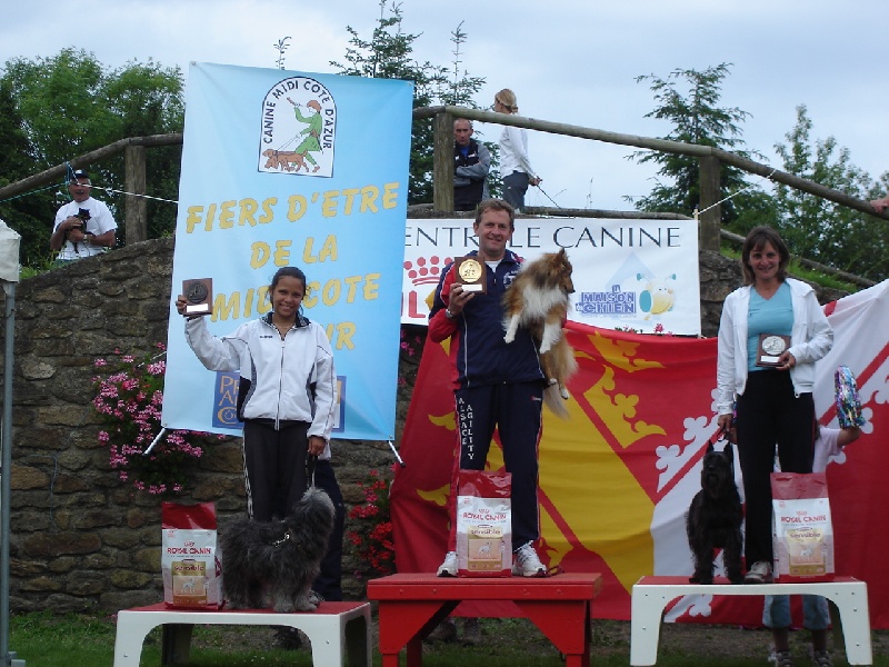 CH. Sharly brown du grand champs d'aubertans