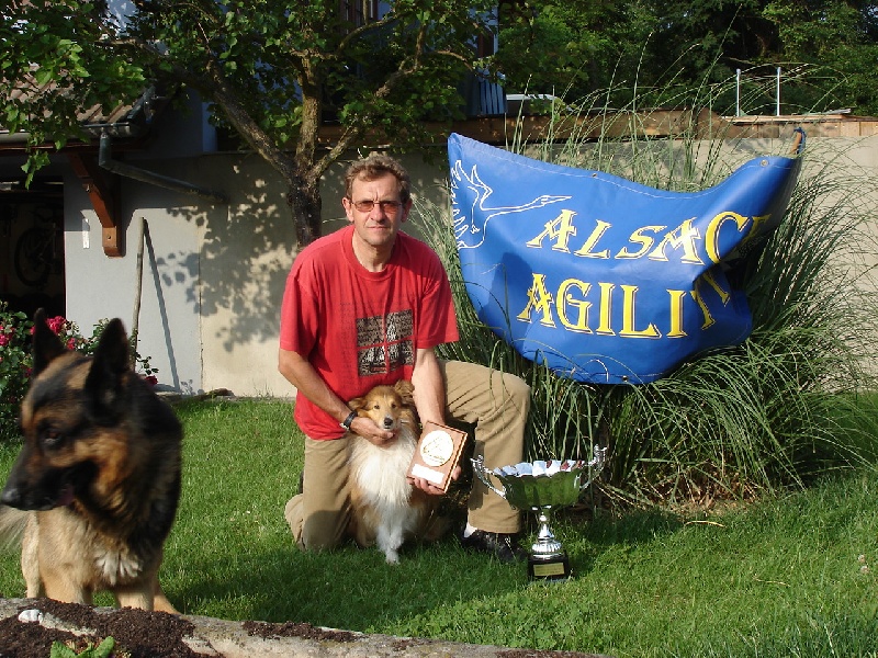 CH. Sharly brown du grand champs d'aubertans