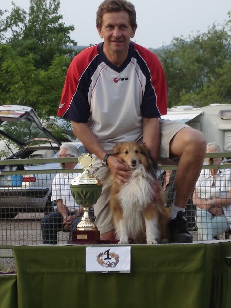 CH. Sharly brown du grand champs d'aubertans