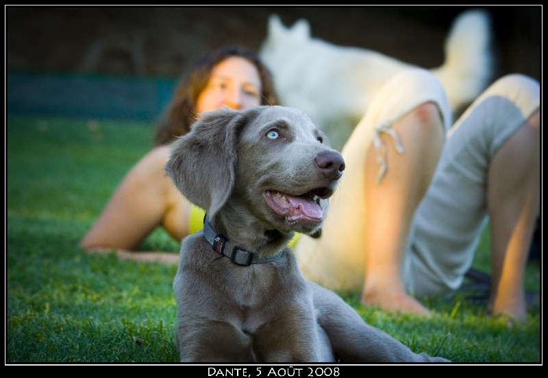 Dante des sources de Gan de Loup