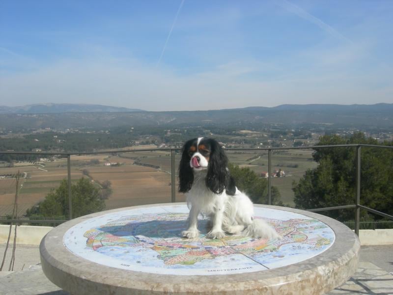 Cardiff de la Bastide du Jas de Jeromes